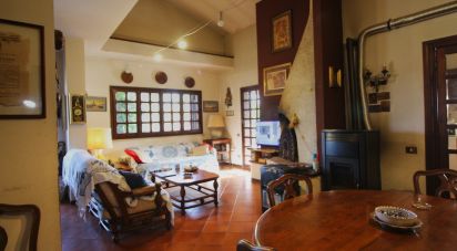 Villa Bifamiliare 12 locali di 276 m² in Anzio (00042)