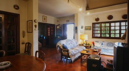 Villa Bifamiliare 12 locali di 276 m² in Anzio (00042)