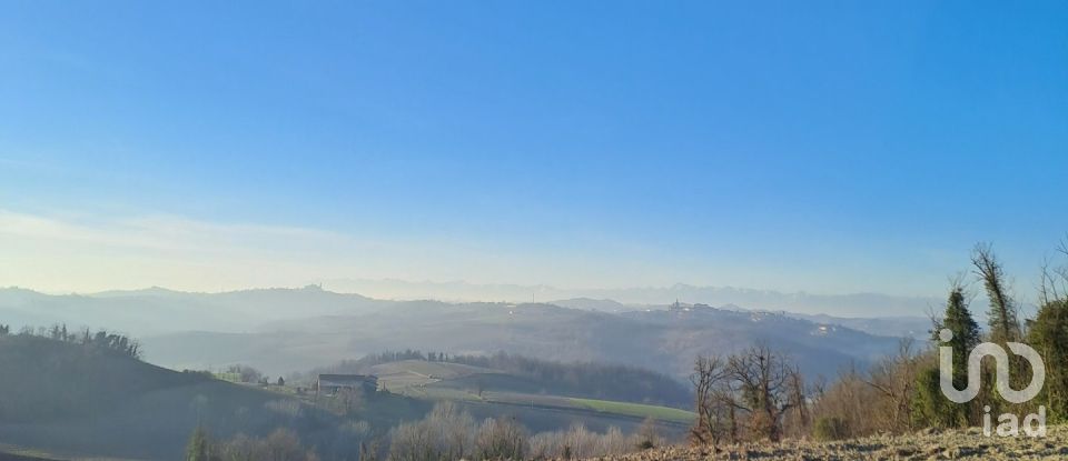 Terreno agricolo di 32.000 m² in Cuccaro Monferrato (15037)