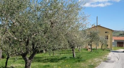 Casa indipendente 10 locali di 260 m² in Staffolo (60039)