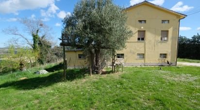Casa indipendente 10 locali di 260 m² in Staffolo (60039)