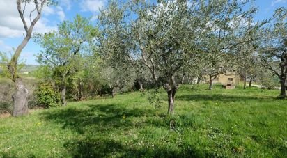 Casa indipendente 10 locali di 260 m² in Staffolo (60039)