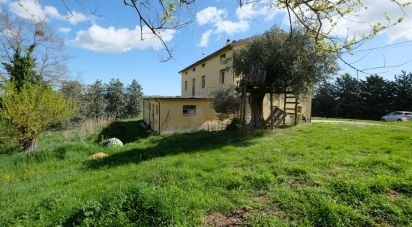 Casa indipendente 10 locali di 260 m² in Staffolo (60039)