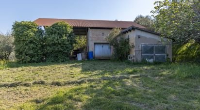 Country house 0 rooms of 240 m² in Recanati (62019)