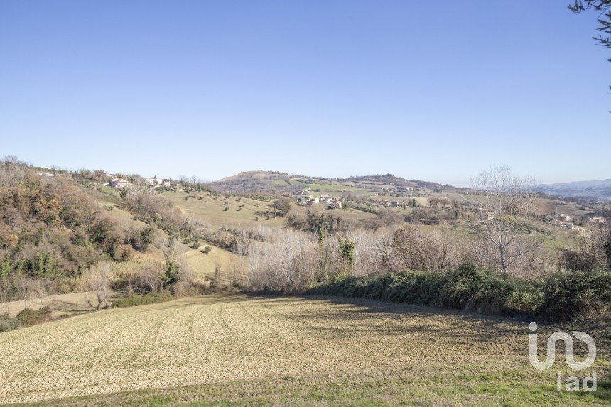 Agricultural land of 50,000 m² in Falerone (63837)
