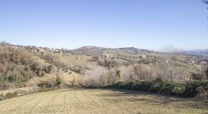 Farm land of 50,000 m² in Falerone (63837)