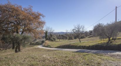 Farm land of 50,000 m² in Falerone (63837)