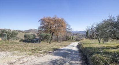 Farm land of 50,000 m² in Falerone (63837)
