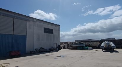 Capannone di 936 m² in Olbia (07026)