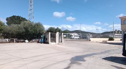 Capannone di 936 m² in Olbia (07026)