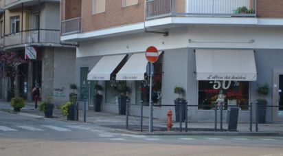 Shop / premises commercial of 472 m² in Diano d'Alba (12051)