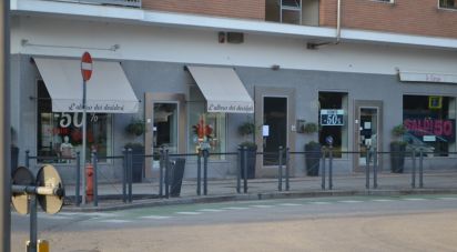 Shop / premises commercial of 472 m² in Diano d'Alba (12051)