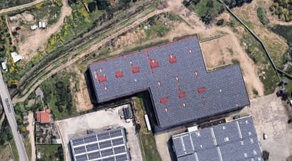 Capannone di 6.151 m² in Olbia (07026)