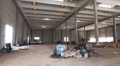 Capannone di 6.151 m² in Olbia (07026)