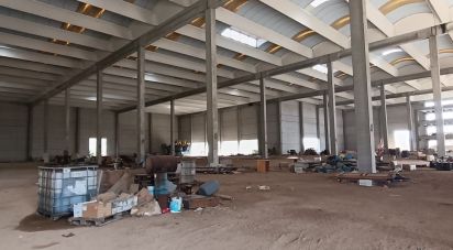 Warehouse of 6,151 m² in Olbia (07026)