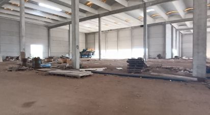 Capannone di 6.151 m² in Olbia (07026)