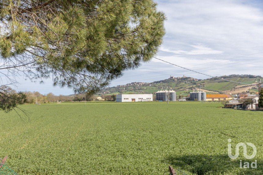 Terreno di 100.000 m² in Montelupone (62010)