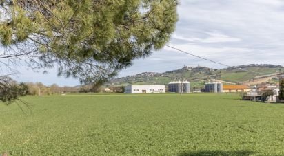 Land of 100,000 m² in Montelupone (62010)