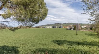 Terreno di 100.000 m² in Montelupone (62010)