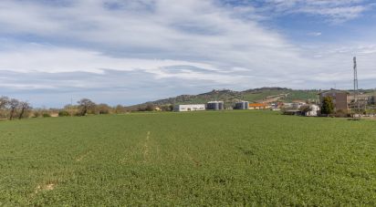 Terreno di 100.000 m² in Montelupone (62010)
