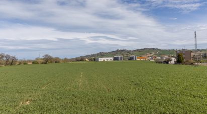Land of 100,000 m² in Montelupone (62010)