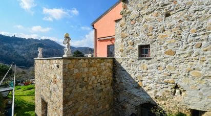 Casa indipendente 17 locali di 350 m² in Vezzi Portio (17028)