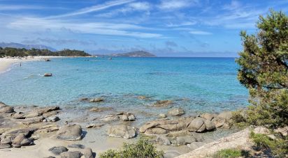 Terreno di 8.000 m² in Tortolì (08048)