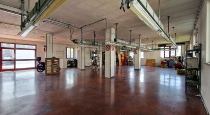 Negozio / locale commerciale di 250 m² in Sant'Elpidio a Mare (63811)