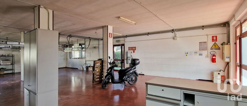 Negozio / locale commerciale di 250 m² in Sant'Elpidio a Mare (63811)