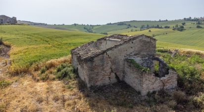 Rustico 0 locali di 300 m² in Montefano (62010)