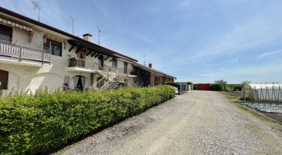 Varie superfici 5 locali di 118 m² a San Donà di Piave (30027)