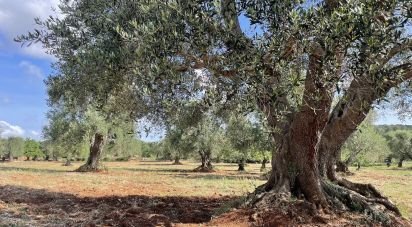 Trullo 4 locali di 60 m² in Ceglie Messapica (72013)