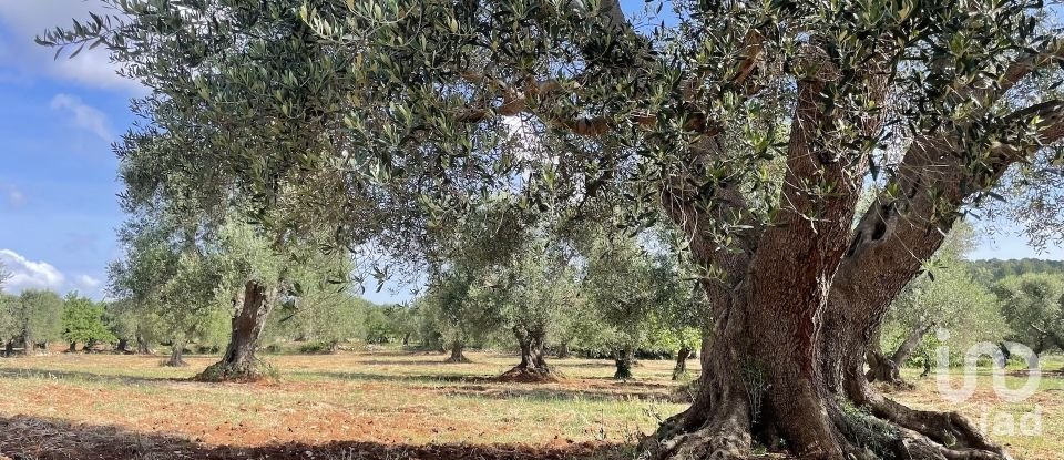 Horses property 4 rooms of 60 m² in Ceglie Messapica (72013)