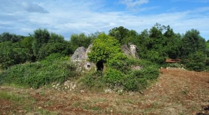 Horses property 4 rooms of 60 m² in Ceglie Messapica (72013)