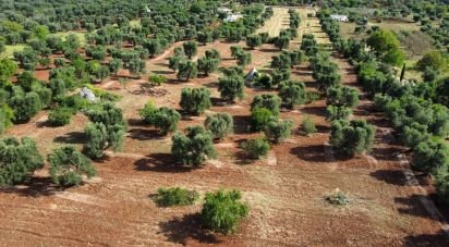 Trullo 4 locali di 60 m² in Ceglie Messapica (72013)