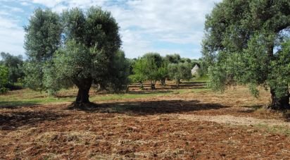 Trullo 4 locali di 60 m² in Ceglie Messapica (72013)