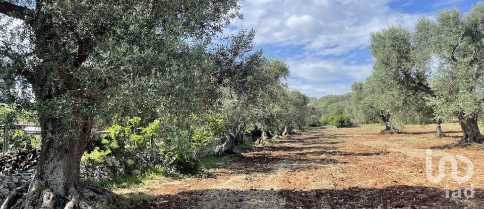 Horses property 4 rooms of 60 m² in Ceglie Messapica (72013)