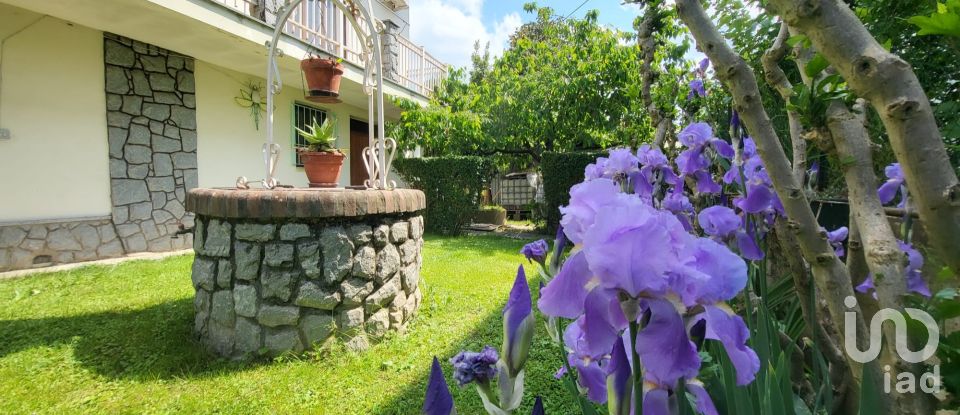 Casa indipendente / Villa 5 locali di 301 m² in San Damiano d'Asti (14015)