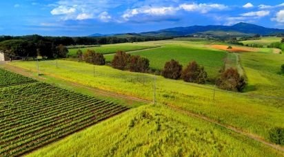 Bilocale di 60 m² a Castellina Marittima (56040)