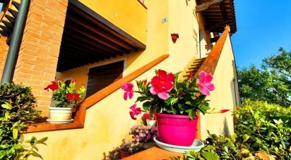 Bilocale di 60 m² a Castellina Marittima (56040)