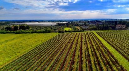 Bilocale di 60 m² a Castellina Marittima (56040)