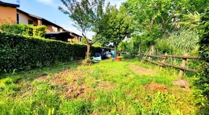 Bilocale di 60 m² a Castellina Marittima (56040)