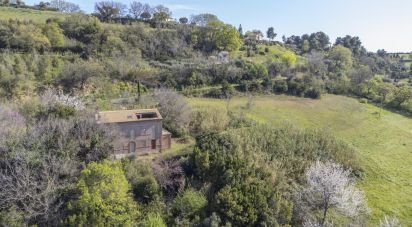 Casa indipendente / Villa 14 locali di 673 m² in Montecosaro (62010)