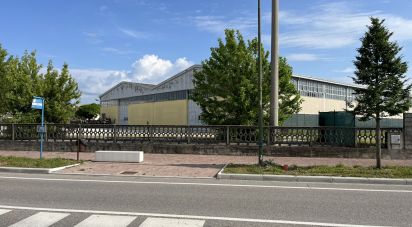 Capannone di 1.900 m² in Medole (46046)
