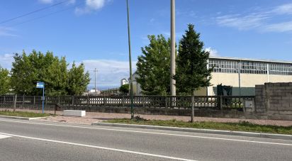 Capannone di 1.900 m² in Medole (46046)