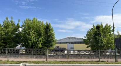 Capannone di 1.900 m² in Medole (46046)