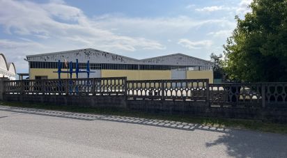 Capannone di 1.900 m² in Medole (46046)