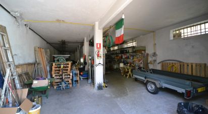 Pareti commerciali di 210 m² in Ceranesi (16014)