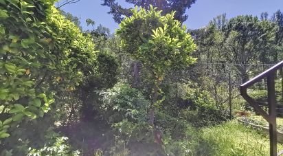 Trilocale di 92 m² a Quart (11020)