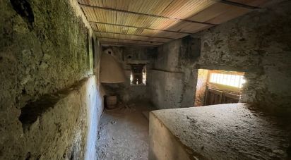 Bilocale di 53 m² a - (87030)